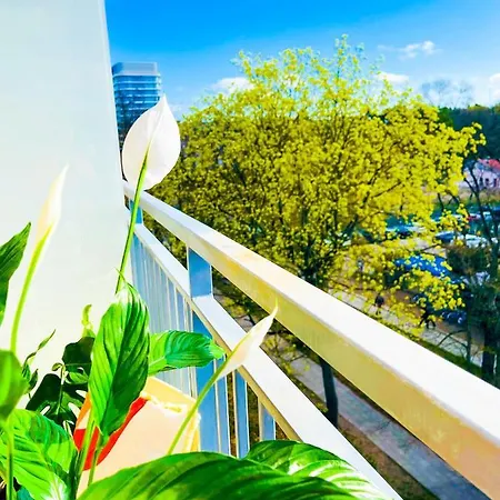 Aqumarina C31 I C32 슈비노우이스쳬