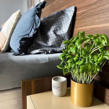 Apartamento Aqumarina C31 I C32 *